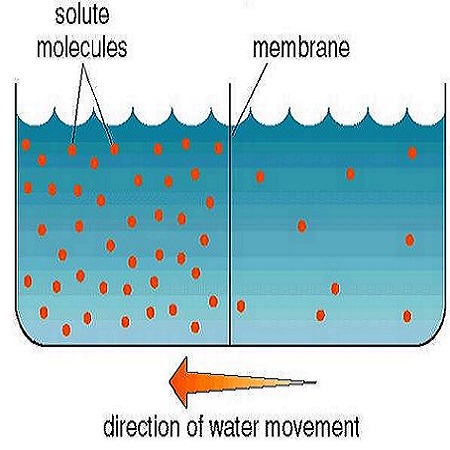 Cannabis osmosis